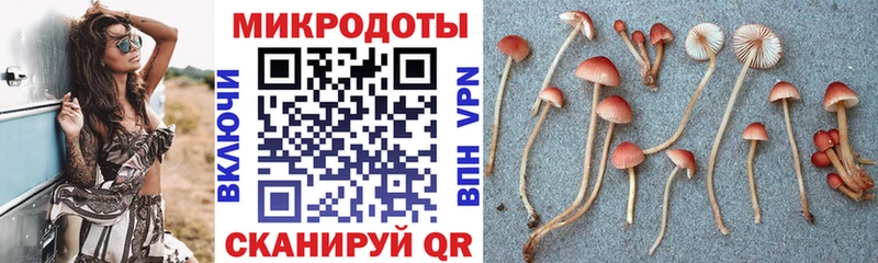 Галлюциногенные грибы ЛСД  Наволоки 